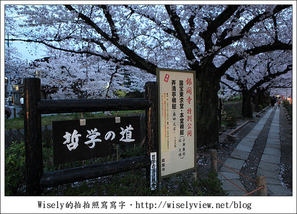 【隨拍】2011關西(京阪神)-13:京都哲學之道裡滿開櫻花美景 (Canon EOS 5D2) 【隨拍】2011關西(京阪神)-13:京都哲學之道裡滿開櫻花美景 (Canon EOS 5D2)