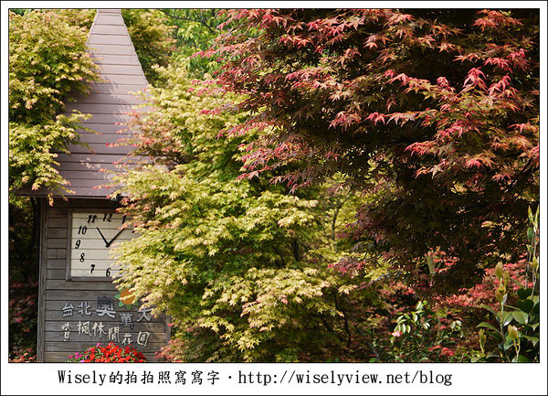 【景點】陽明山台北奧萬大2011-遲訪的楓紅 (Panasonic GF1)