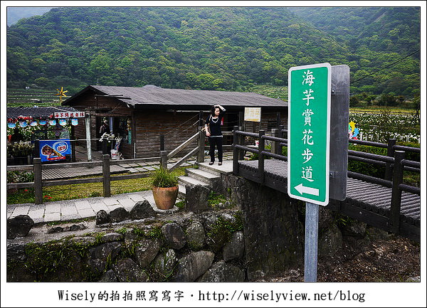 台北︱陽明山竹子湖︱冠宸食館 野菜熱炒