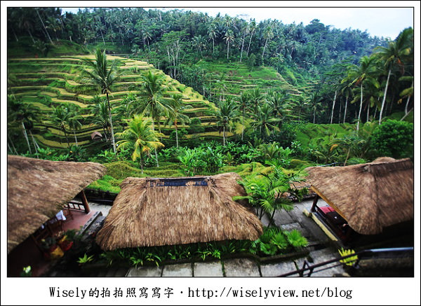 【旅行】2011(印尼)峇里島-03:烏布梯田下午茶(古董敞篷車)、髒鴨子風味餐、算命師賴爺(KETUT LAYER)的家、烏布傳統市場《烏布必去景點推薦》 【旅行】2011(印尼)峇里島-03:烏布梯田下午茶(古董敞篷車)、髒鴨子風味餐、算命師賴爺(KETUT LAYER)的家、烏布傳統市場《烏布必去景點推薦》