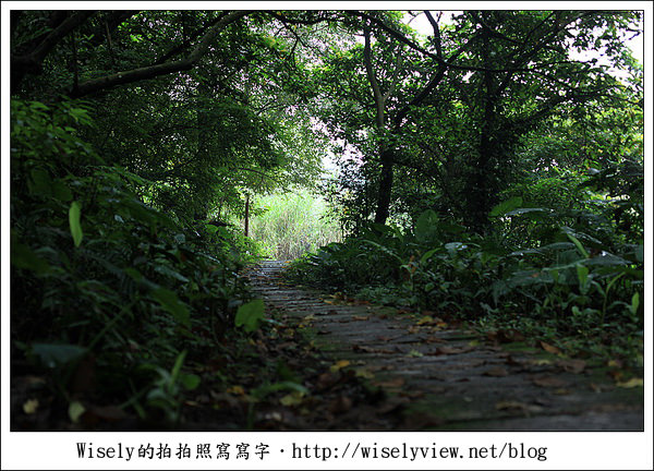 【隨拍】台北.土城青雲路螢火蟲 & 拍攝技巧心得分享 (Canon 5D2)/雅聖鹹蛋糕食記 【隨拍】台北.土城青雲路螢火蟲 & 拍攝技巧心得分享 (Canon 5D2)/雅聖鹹蛋糕食記