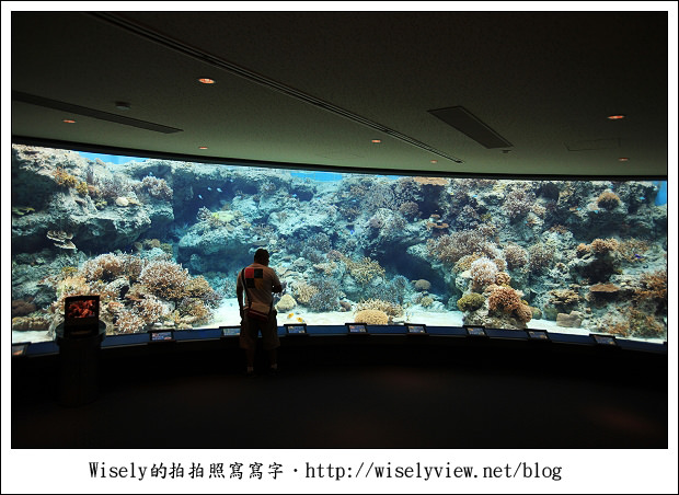 【旅行】2011(日本)沖繩-03：海洋博公園-沖繩美麗海水族館《琉球必去景點推薦》