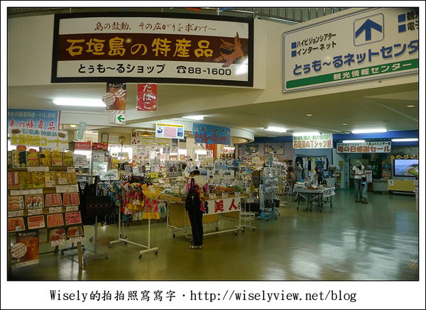 【旅行】2011(日本)沖繩-05：西表島-船遊紅樹林、板根樹、山貓紀念品