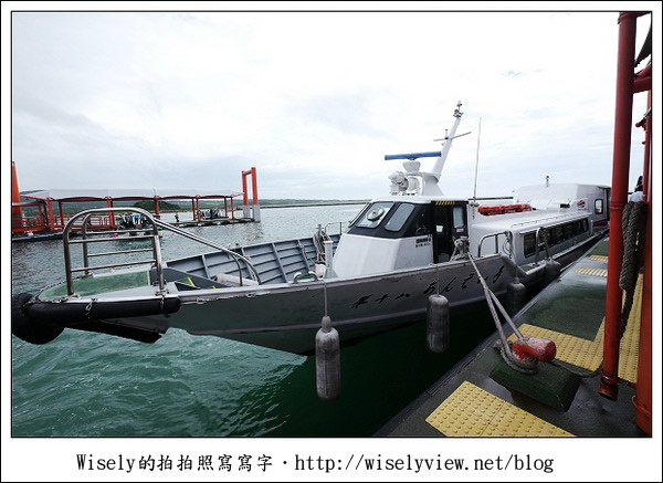 【旅行】2011(日本)沖繩-05：西表島-船遊紅樹林、板根樹、山貓紀念品