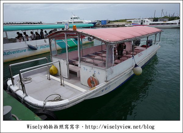 【旅行】2011(日本)沖繩-05：西表島-船遊紅樹林、板根樹、山貓紀念品