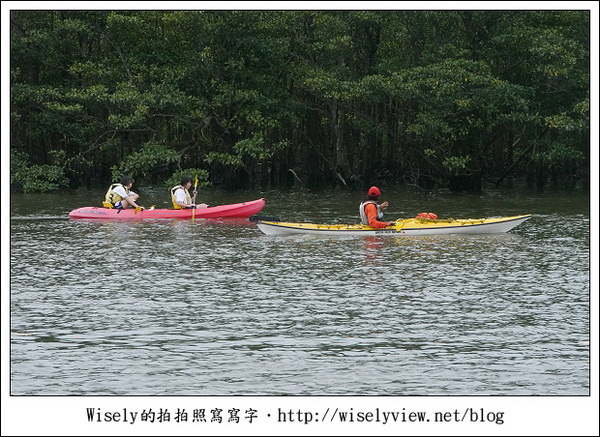 【旅行】2011(日本)沖繩-05：西表島-船遊紅樹林、板根樹、山貓紀念品