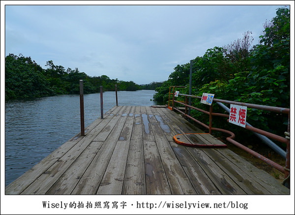 【旅行】2011(日本)沖繩-05：西表島-船遊紅樹林、板根樹、山貓紀念品