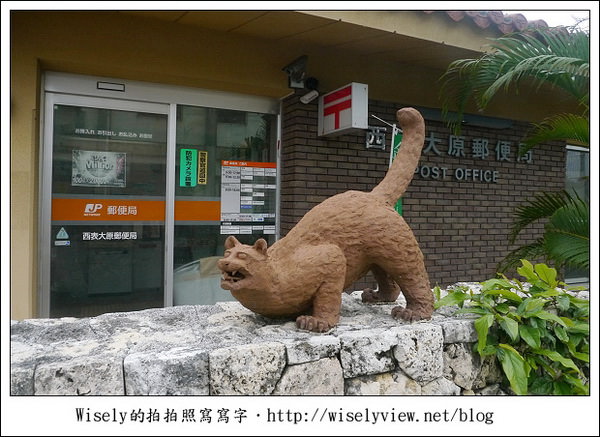 【旅行】2011(日本)沖繩-05：西表島-船遊紅樹林、板根樹、山貓紀念品