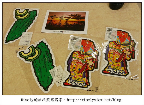 【旅行】2011(日本)沖繩-05：西表島-船遊紅樹林、板根樹、山貓紀念品