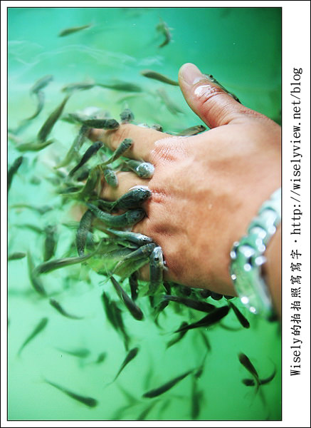 【旅行】2011(印尼)峇里島-10：TIRTA 水SPA(熱石推拿SPA)、Bail Ocean SPA(綠茶精油SPA)、ESSENCE SPA(紅酒SPA)