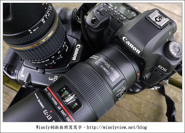 【攝影】新北市．新店區：台大安康農場荷花-2011 (Canon 100mm IS L + Tamron 28-300mm VC)