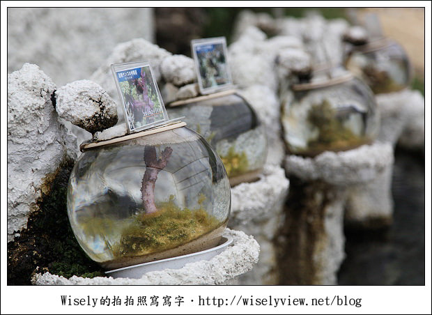 【旅行】2011(日本)沖繩-09：南海琉球風體驗王國(手作工藝、傳統建築物)、Gala青之海海鹽館(手工藝品、沖繩海鹽)、珊瑚保育場