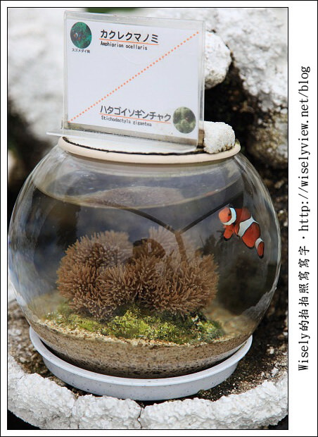 【旅行】2011(日本)沖繩-09：南海琉球風體驗王國(手作工藝、傳統建築物)、Gala青之海海鹽館(手工藝品、沖繩海鹽)、珊瑚保育場