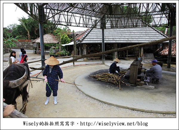 【旅行】2011(日本)沖繩-11：古老文化主題公園-沖繩琉球村，一名讓我難忘的老婆婆
