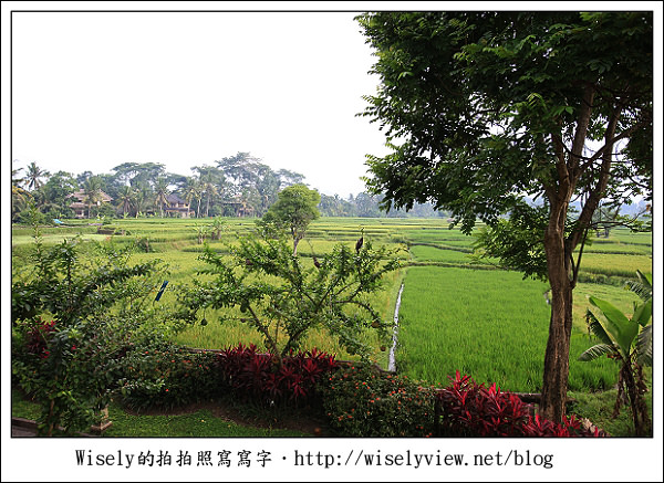 【旅行】2011(印尼)峇里島-15：The Ubud Village Resort Bali (住宿飯店旅館)