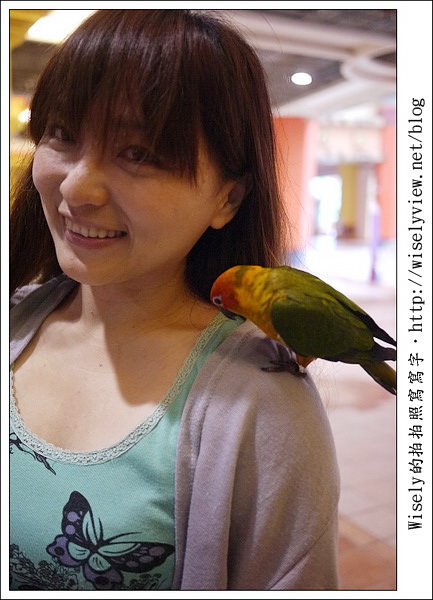 【遊玩】高雄義大世界：吃喝玩樂一日遊 (數家美味特色餐廳食記分享)