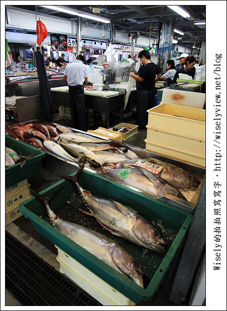 【旅行】2011(日本)沖繩-13:泊港漁市場-超多生鮮好料便宜任你選 【旅行】2011(日本)沖繩-13:泊港漁市場-超多生鮮好料便宜任你選
