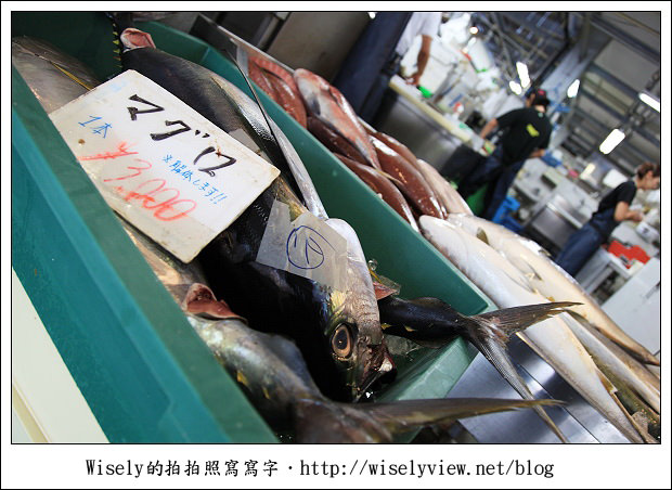 【旅行】2011(日本)沖繩-13:泊港漁市場-超多生鮮好料便宜任你選 【旅行】2011(日本)沖繩-13:泊港漁市場-超多生鮮好料便宜任你選