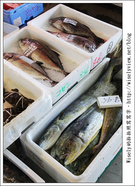 【旅行】2011(日本)沖繩-13:泊港漁市場-超多生鮮好料便宜任你選 【旅行】2011(日本)沖繩-13:泊港漁市場-超多生鮮好料便宜任你選
