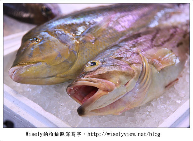 【旅行】2011(日本)沖繩-13:泊港漁市場-超多生鮮好料便宜任你選 【旅行】2011(日本)沖繩-13:泊港漁市場-超多生鮮好料便宜任你選