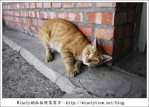 【食記】宜蘭縣。頭城鎮：北宜蛋之家-將軍茶葉蛋，懷舊香辣的好滋味