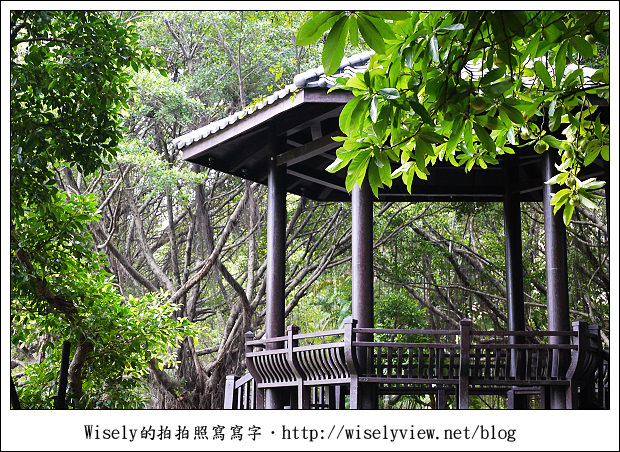 【隨拍】台北市‧中正區：客家文化主題公園～結合生態與人文藝術的休閒場所，還能騎單車散步