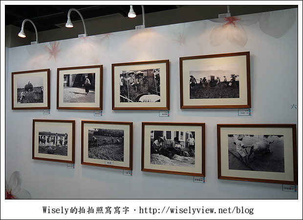 【隨拍】台北市‧中正區：客家文化主題公園～結合生態與人文藝術的休閒場所，還能騎單車散步