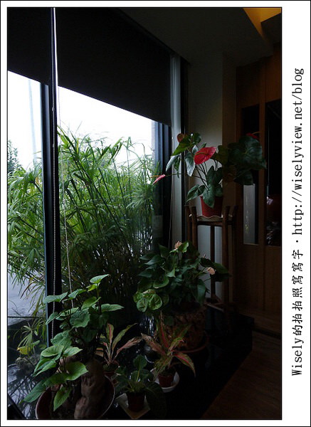 宜蘭礁溪︱松語墅Pine︱具備半露天溫泉湯池的平價體驗