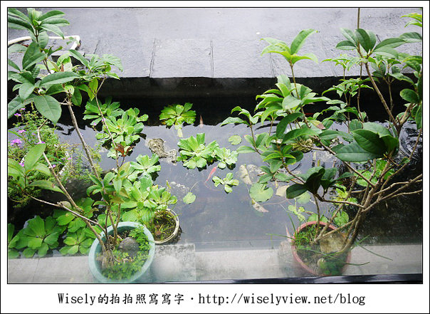 宜蘭礁溪︱松語墅Pine︱具備半露天溫泉湯池的平價體驗