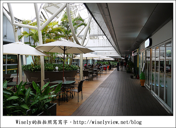 【食記】新北市‧板橋區：in Joy chocolate 巧克力、咖啡、貓，板橋火車站裡下午茶的好去處