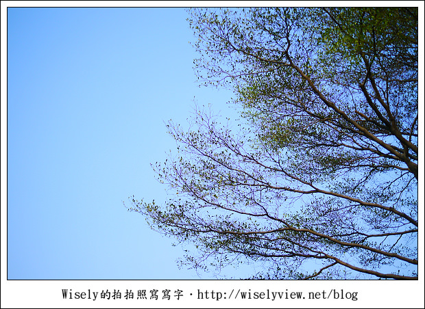 【生活】2011「三家二」聚會隨拍-La Pizza & 客家文化主題公園