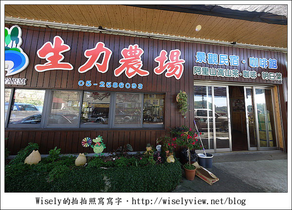 【遊玩】嘉義‧阿里山：茶裏王～離開繁忙的都會生活，來去山上找好茶