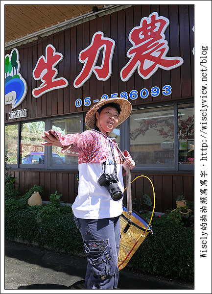 【遊玩】嘉義‧阿里山：茶裏王～離開繁忙的都會生活，來去山上找好茶