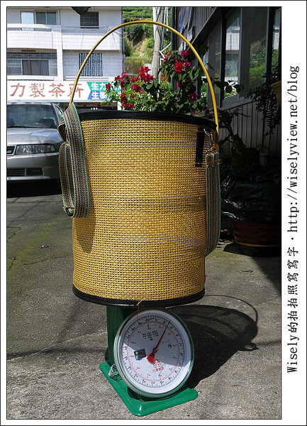 【遊玩】嘉義‧阿里山：茶裏王～離開繁忙的都會生活，來去山上找好茶