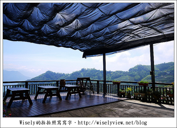 【遊玩】嘉義‧阿里山：茶裏王～離開繁忙的都會生活，來去山上找好茶