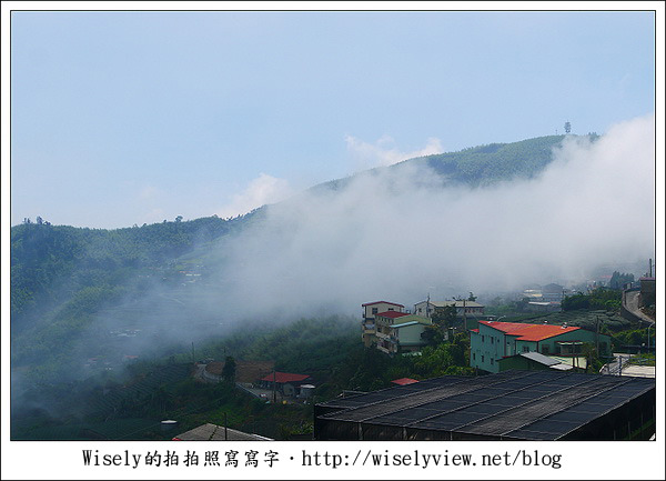 【遊玩】嘉義‧阿里山：茶裏王～離開繁忙的都會生活，來去山上找好茶