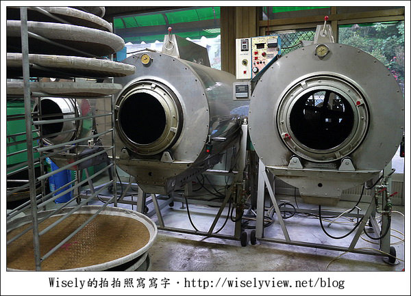 【遊玩】嘉義‧阿里山：茶裏王～離開繁忙的都會生活，來去山上找好茶