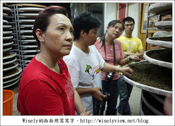 【遊玩】嘉義‧阿里山：茶裏王～離開繁忙的都會生活，來去山上找好茶