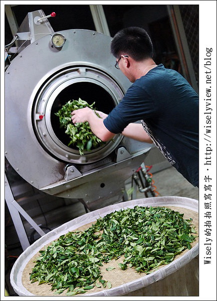 【遊玩】嘉義‧阿里山：茶裏王～離開繁忙的都會生活，來去山上找好茶