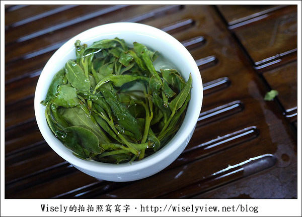 【遊玩】嘉義‧阿里山：茶裏王～離開繁忙的都會生活，來去山上找好茶