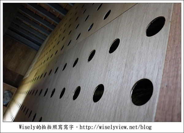 【遊玩】嘉義‧阿里山：茶裏王～離開繁忙的都會生活，來去山上找好茶