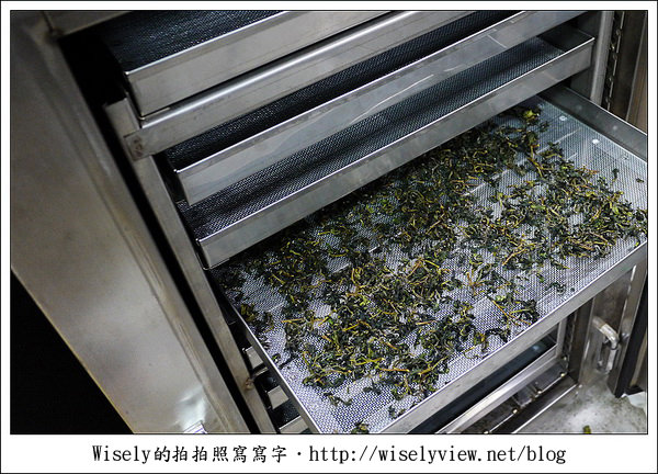 【遊玩】嘉義‧阿里山：茶裏王～離開繁忙的都會生活，來去山上找好茶