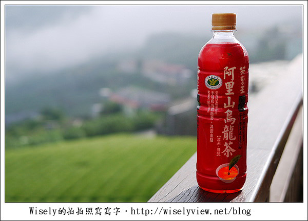 【遊玩】嘉義‧阿里山：茶裏王～離開繁忙的都會生活，來去山上找好茶