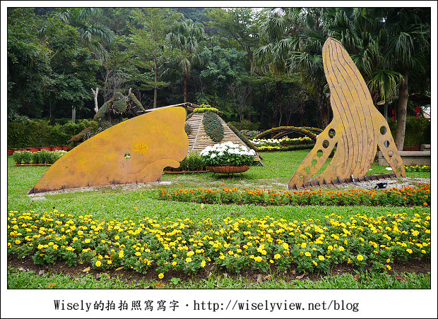 【遊玩】2011台北士林官邸菊展：菊與詩的對話(11/19~12/4)～交通相關介紹