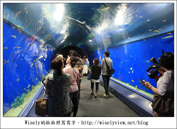 【旅行】2011關西(京阪神)-26:大阪海遊館~適合親子前往的陸上海洋世界 【旅行】2011關西(京阪神)-26:大阪海遊館~適合親子前往的陸上海洋世界