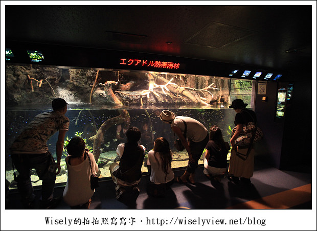 【旅行】2011關西(京阪神)-26:大阪海遊館~適合親子前往的陸上海洋世界 【旅行】2011關西(京阪神)-26:大阪海遊館~適合親子前往的陸上海洋世界