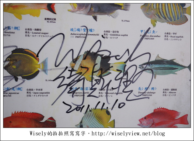 【食記】台東縣．成功鎮：新發海產店(宋媽媽的老店)～在地旗魚全餐美味好料理