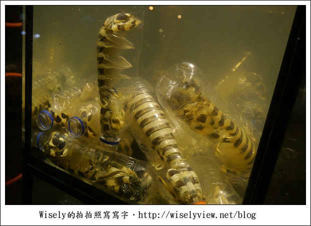 【食記】台北市．大安區：自然風涮涮鍋∼食材不錯但是點餐要仔細，沒吃到沙公有怨念