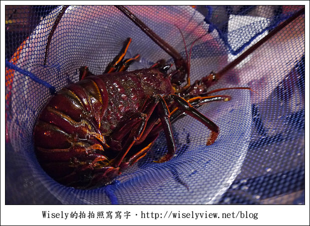 【食記】台北市．大安區：自然風涮涮鍋∼食材不錯但是點餐要仔細，沒吃到沙公有怨念