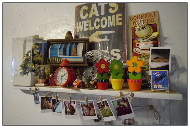 【隨拍】Panasonic Lumix GX1：桃園縣．復興鄉~我在7號公路遇見貓，牠的名字叫布丁(圖多分頁有貓寫真)